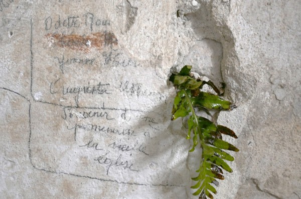 Les Ateliers - Marjolaine Turpin